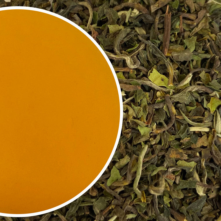 Spring Pot Darjeeling Black Tea First Flush 2023