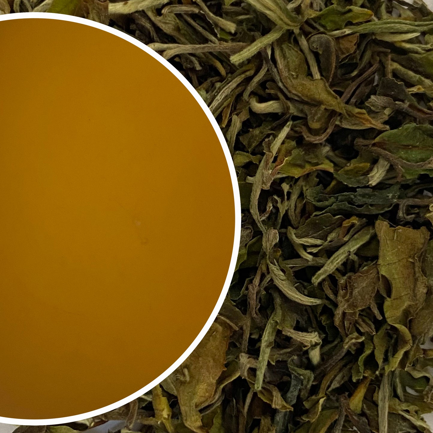 Upper Fagu - Spring Blossom Darjeeling Black Tea First Flush 2023